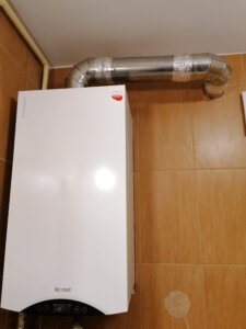 Termet Gold Plus 24 